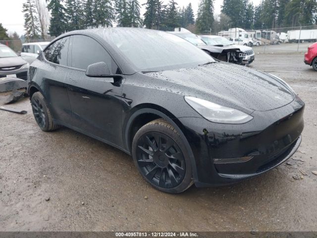 2023 TESLA MODEL Y 7SAYGDEE8PF970235